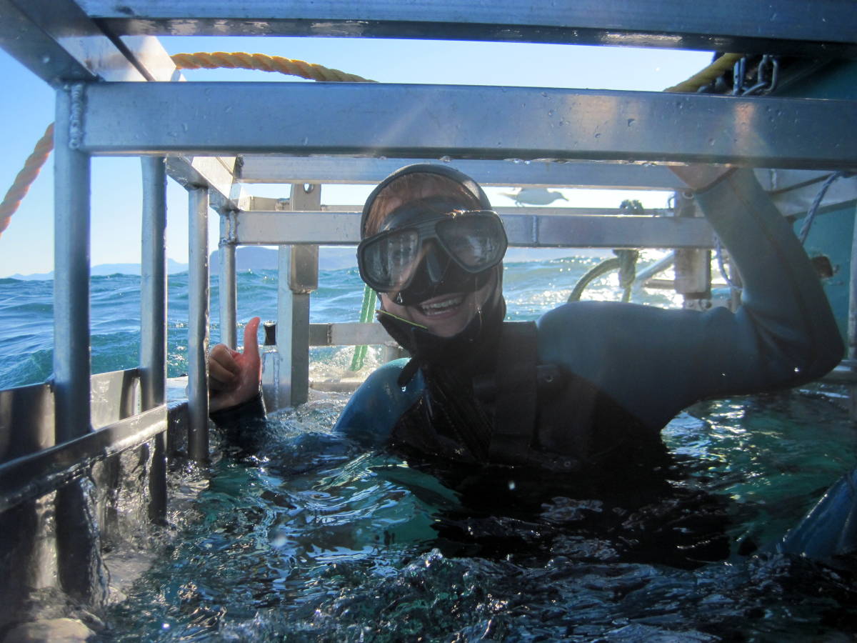 Gaansbai shark cage diving