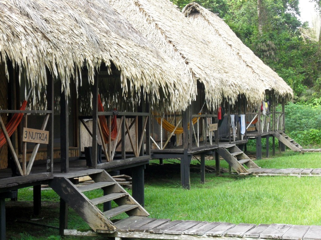 Amazon jungle lodge in Ecuador - Cuyabeno lodge