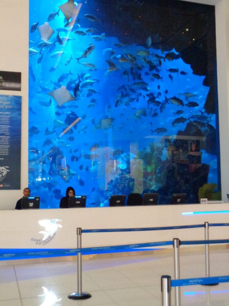 Aquarium in the middle of Dubai Mall