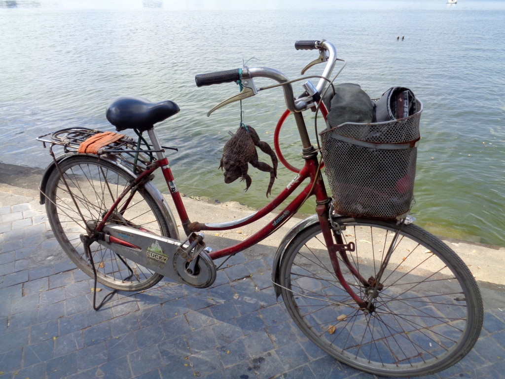 visiting Hanoi