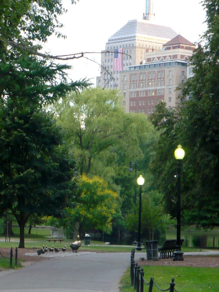 Boston ducks