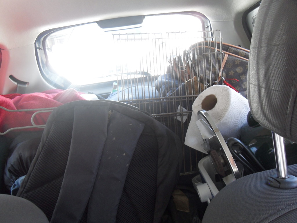 Our extremely packed Chevy ;)