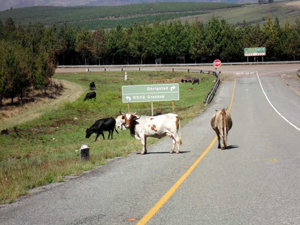 Road to Kruger National Park
