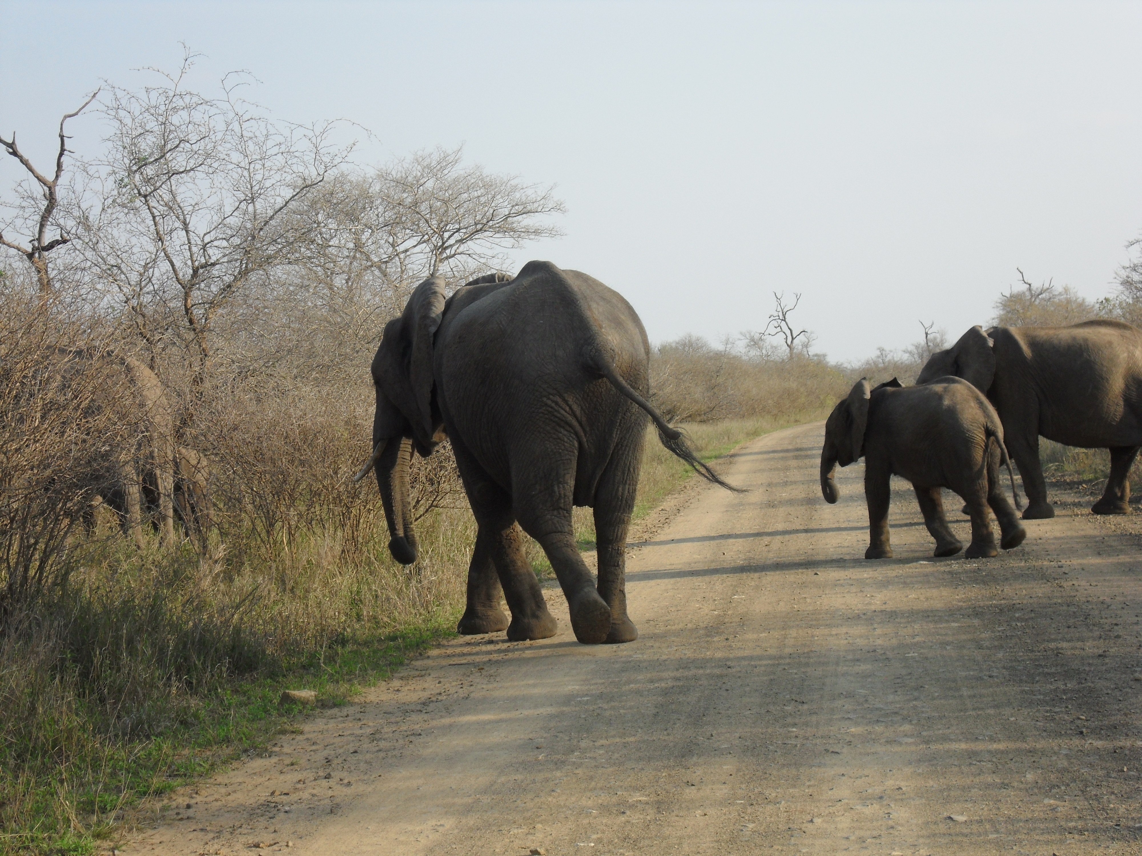 South Africa 2 weeks itinerary