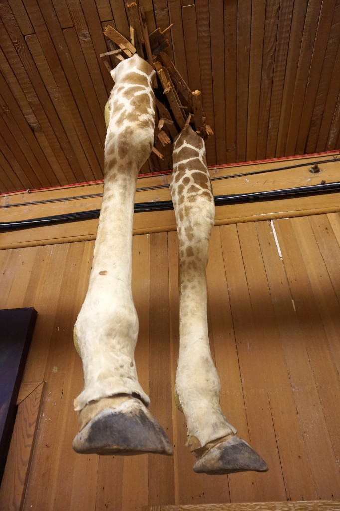 Legs from Hangover 3!