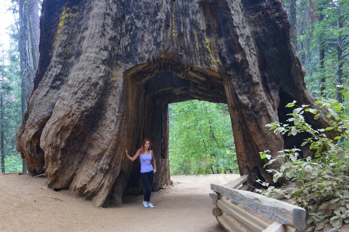 Yosemite northern California