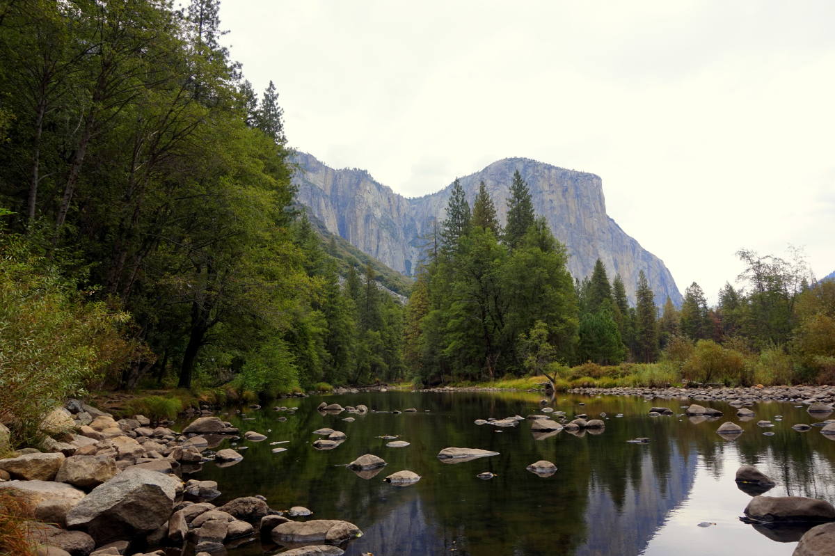 Yosemite NP yosemite park