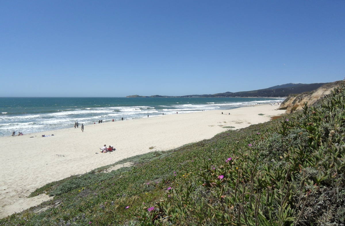 17 Mile Drive California Pacific Coast Highway road trip itinerary