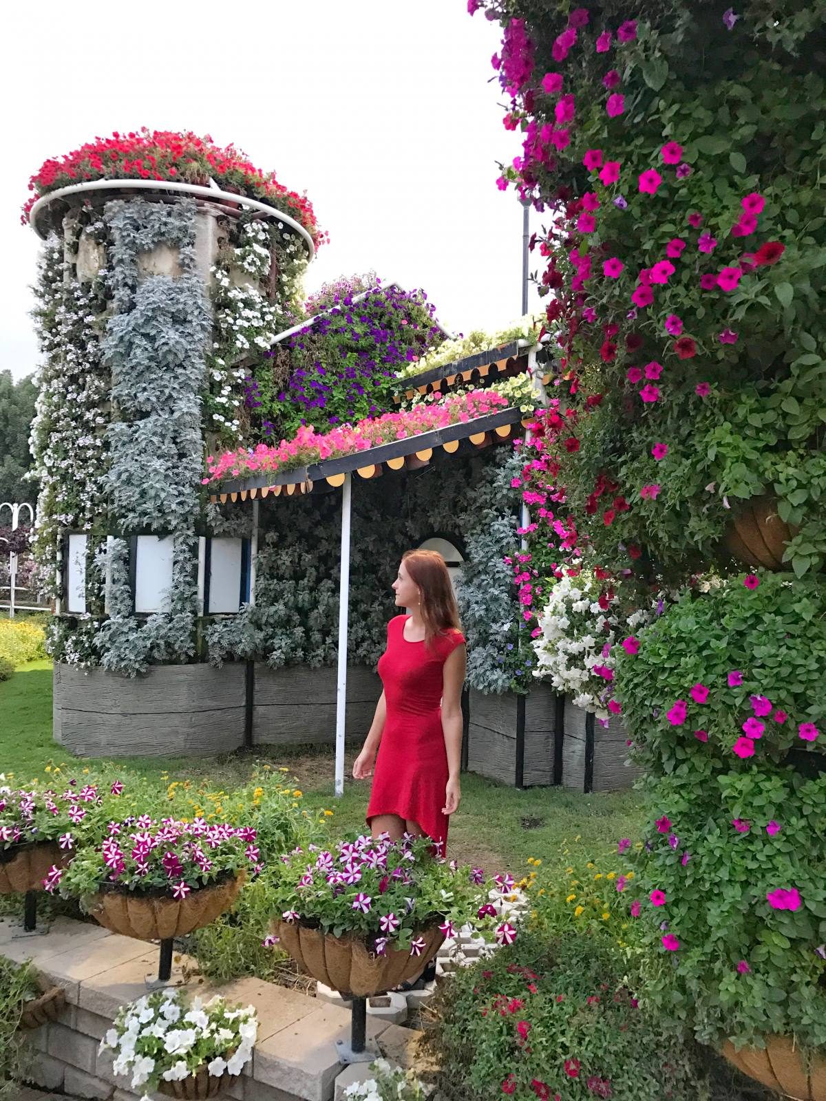 Miracle Garden flowers in Dubai, UAE