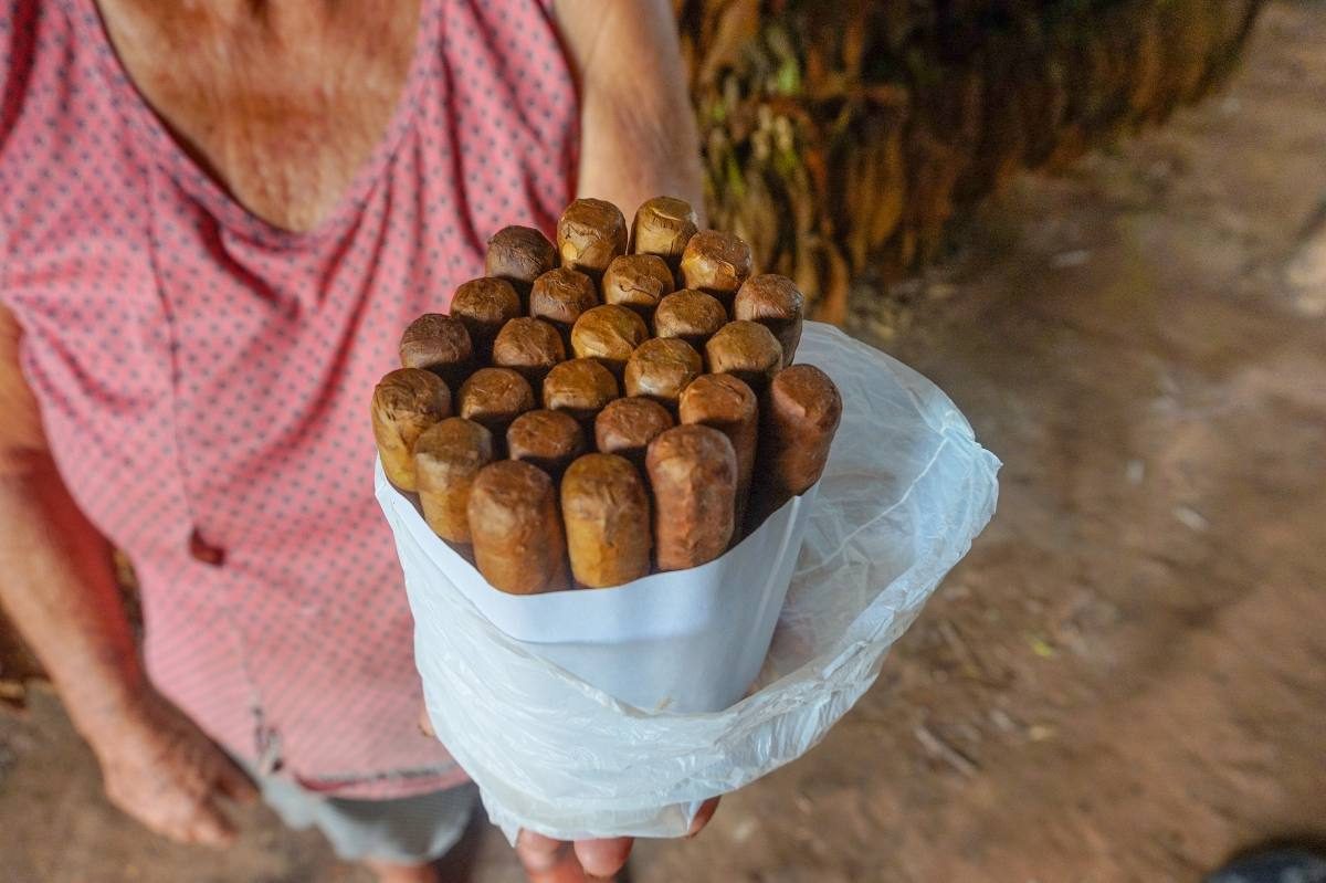 Cuban cigars Cuban cigars
