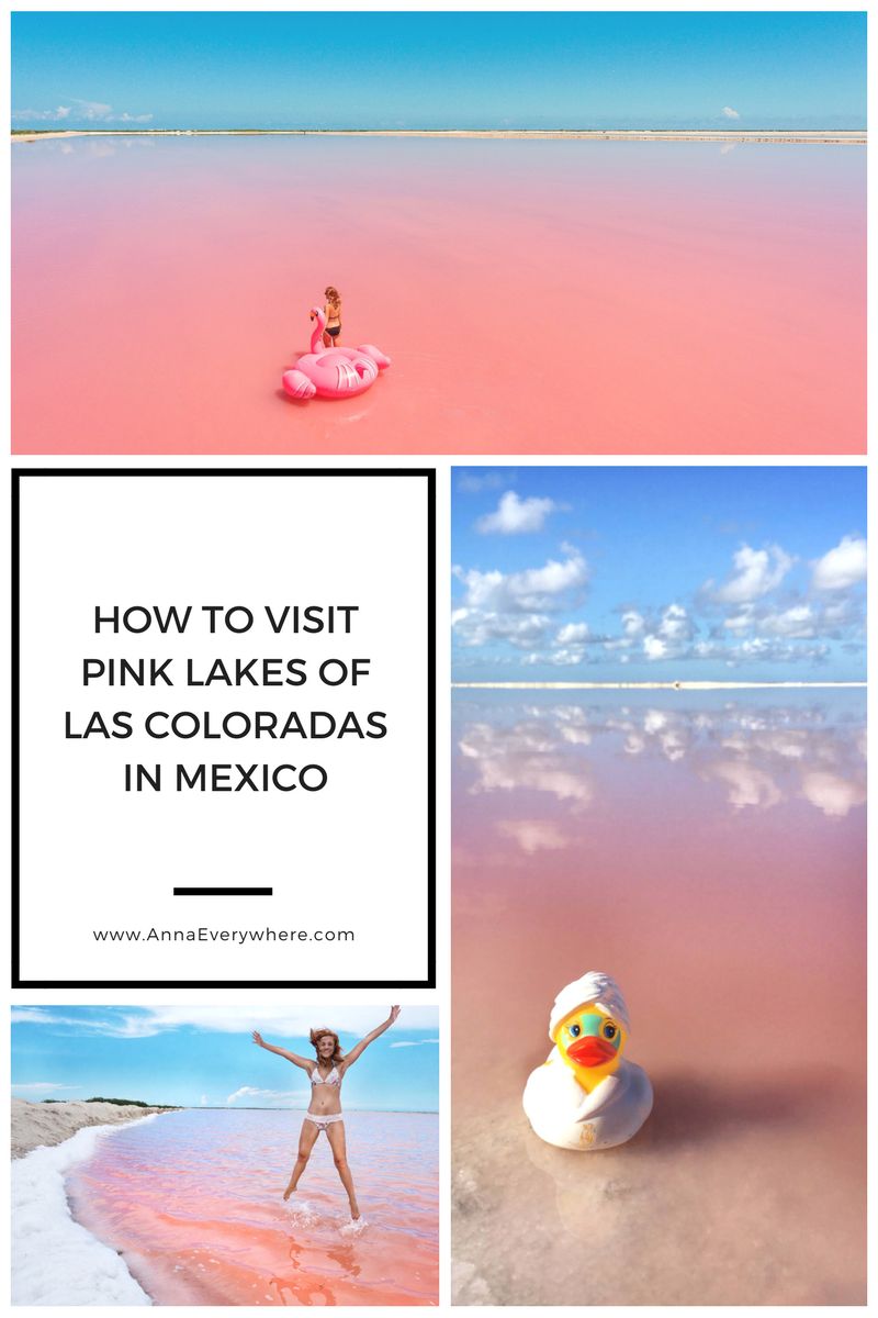How to Visit Pink Lakes of Las Coloradas, Mexico How to Visit Pink Lakes of Las Coloradas in Mexico