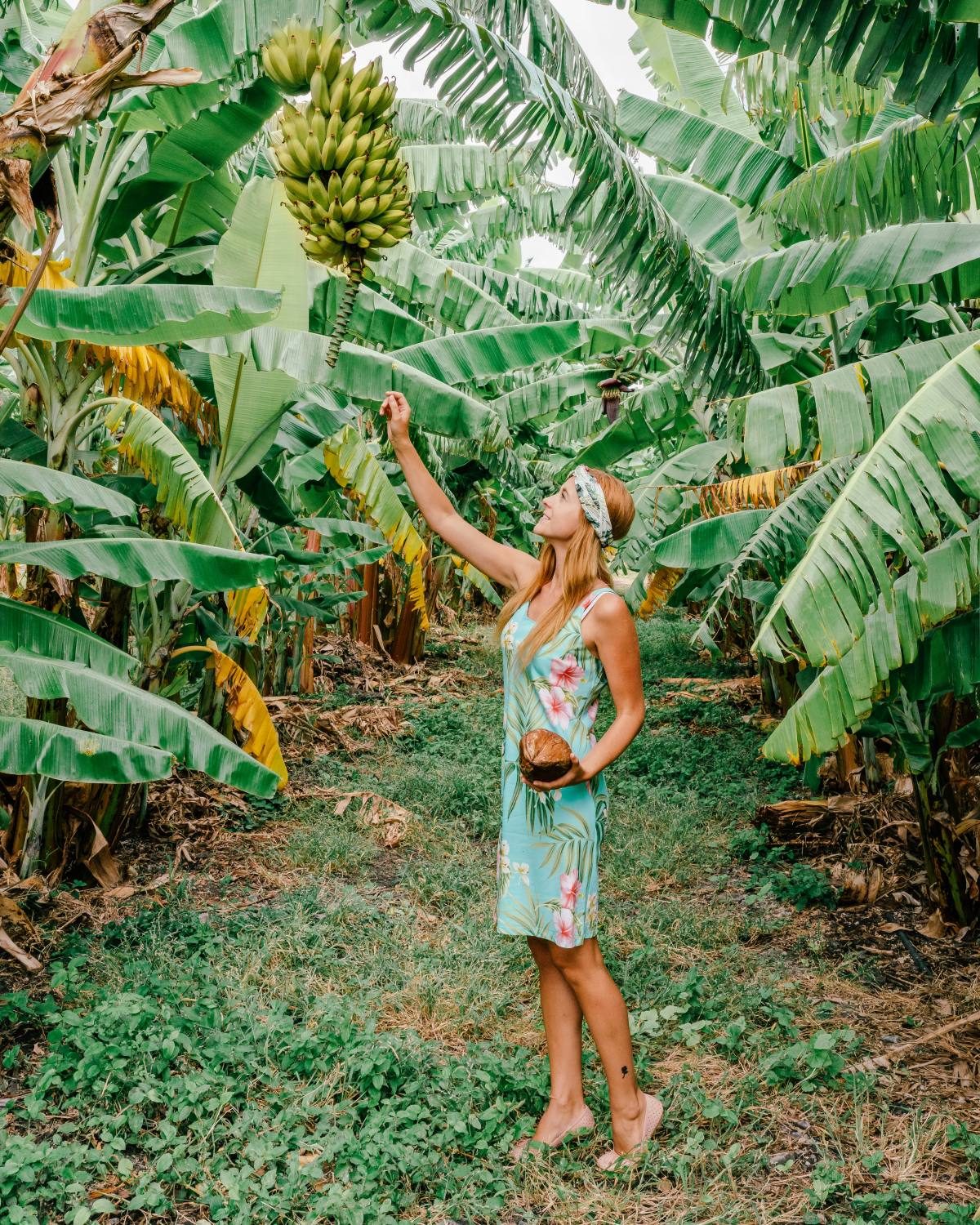 Ma'o Farms