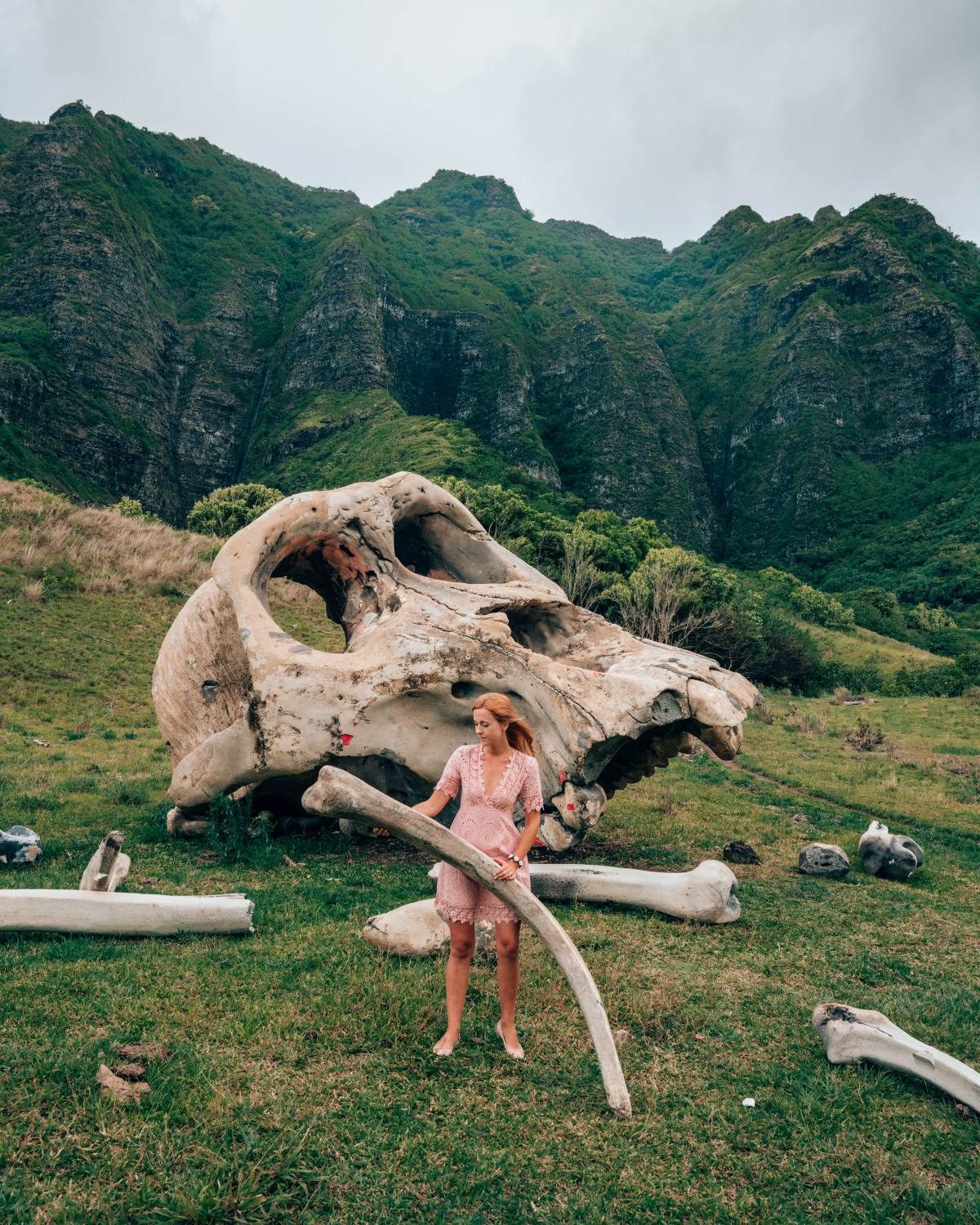 Kualoa Ranch Kong: Skull Island