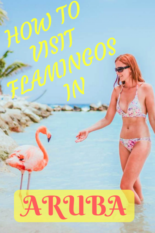 Flamingo Beach in Aruba Flamingo Beach in Aruba