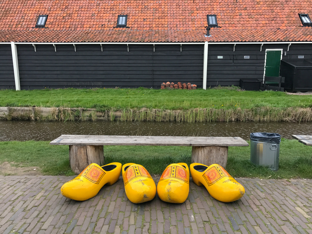 Moving to the Netherlands