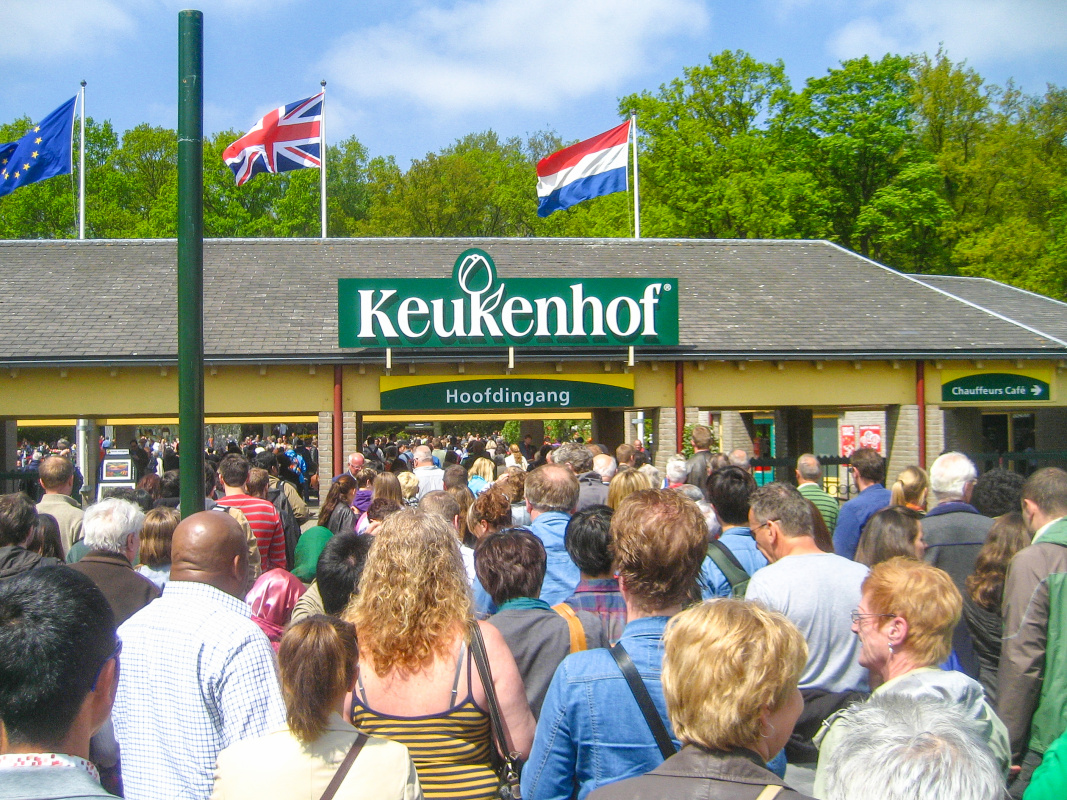 How to Get to Keukenhof Keukenhof Garde