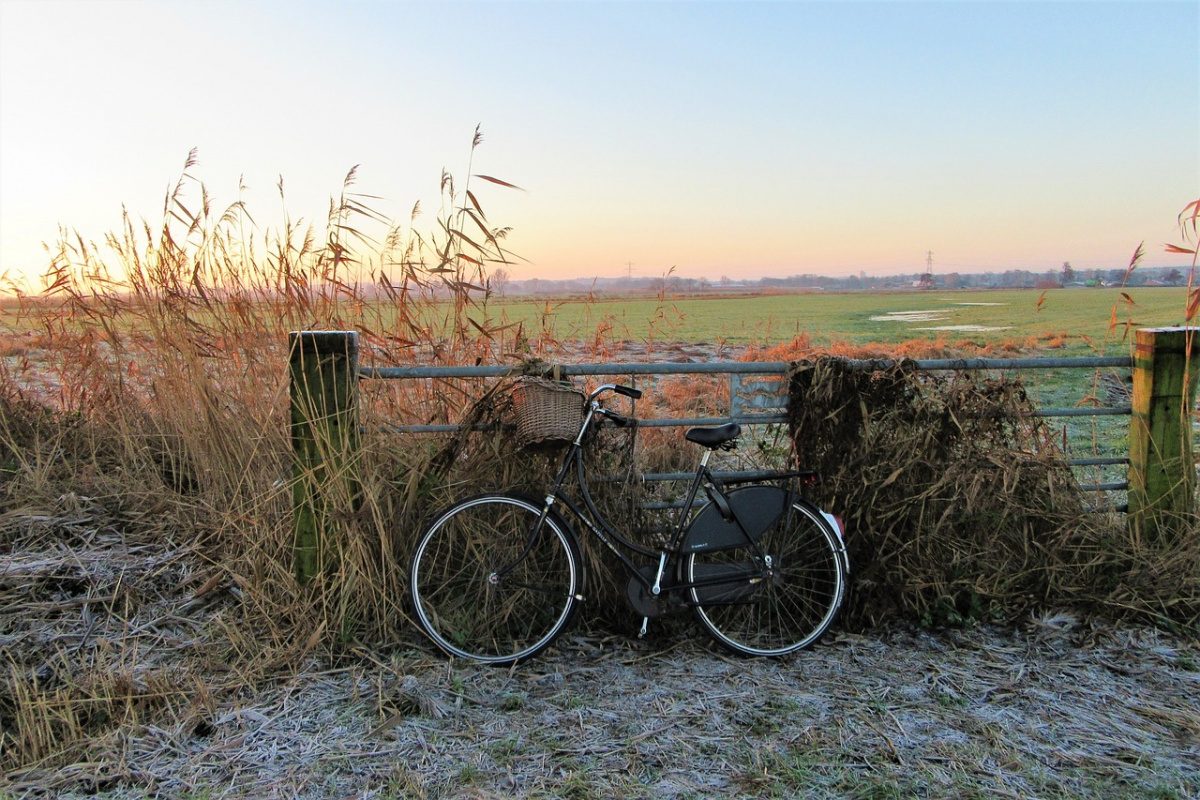 biking to tulip fields biking tulip fields