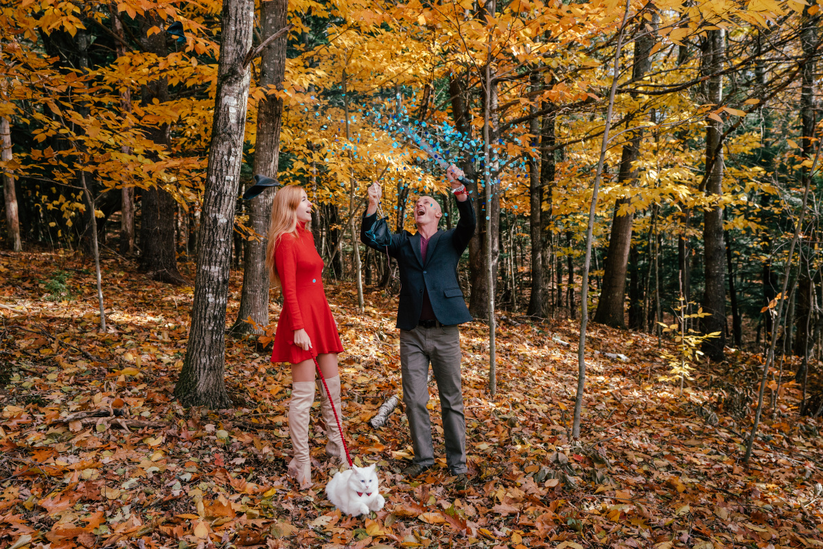 gender reveal with a cat gender reveal with a cat