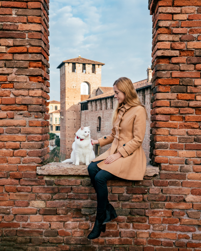 Castelvecchio Verona Woman with a white cat sitting on the ancient walls of Castelvecchio Verona , a city rich with history and perfect spots for memorable photos.