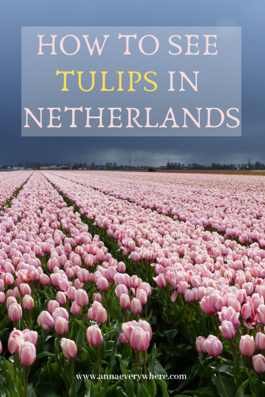 How to See Tulips in the Netherlands How to See Tulips in the Netherlands