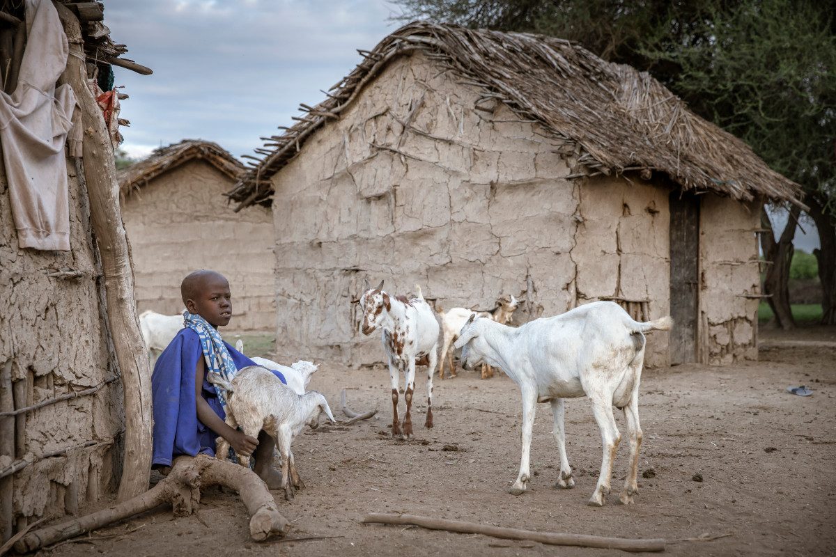Maasai boy