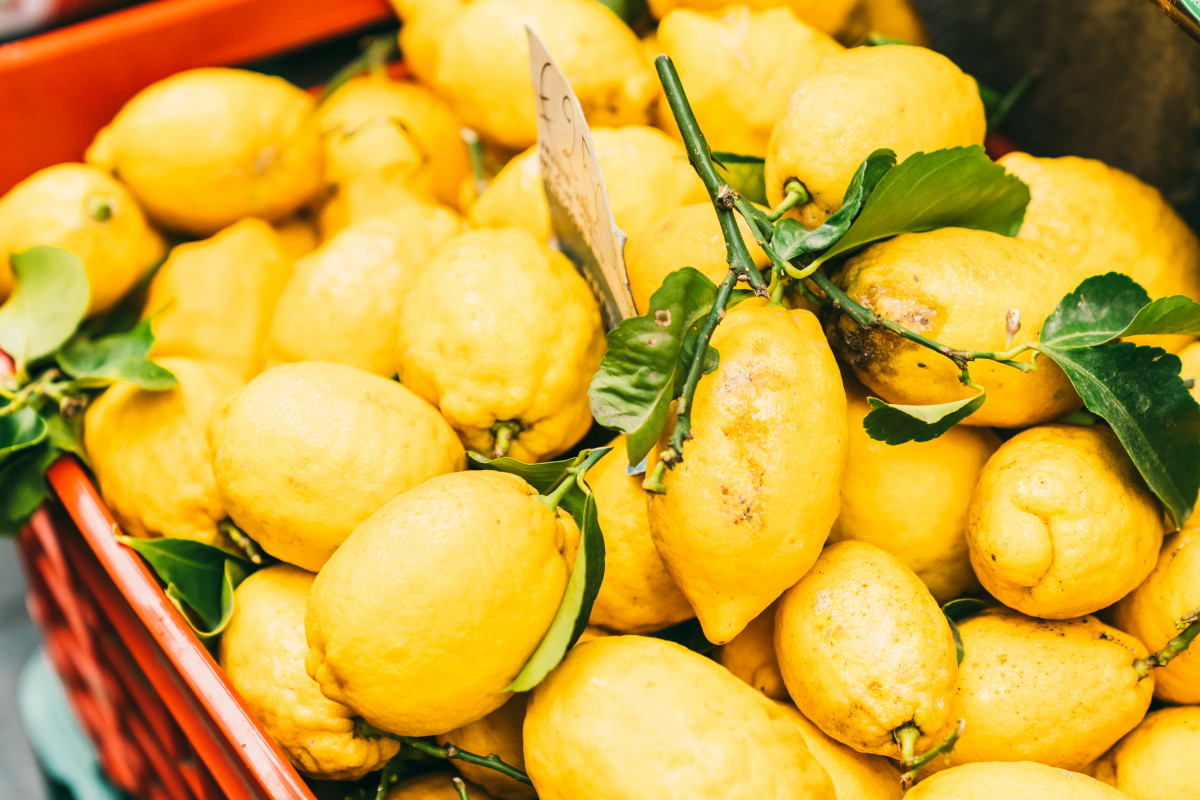 cooking class lemons lemons Amalfi