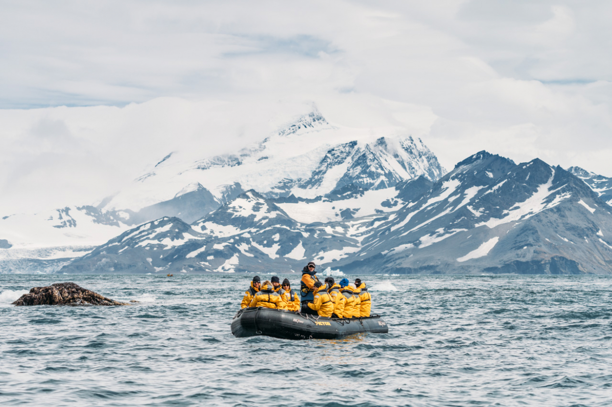 zodiac Antarctica