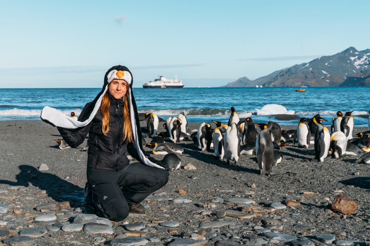 penguins south georgia