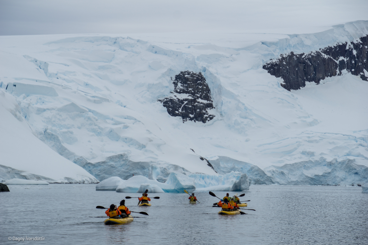 Kayaking in Antarctica