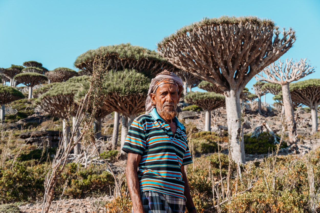 goat herder diskam socotra