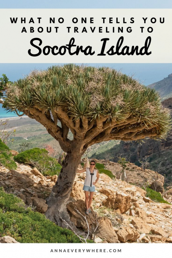 What No One Tells You About Traveling to Socotra Island What No One Tells You About Traveling to Socotra Island