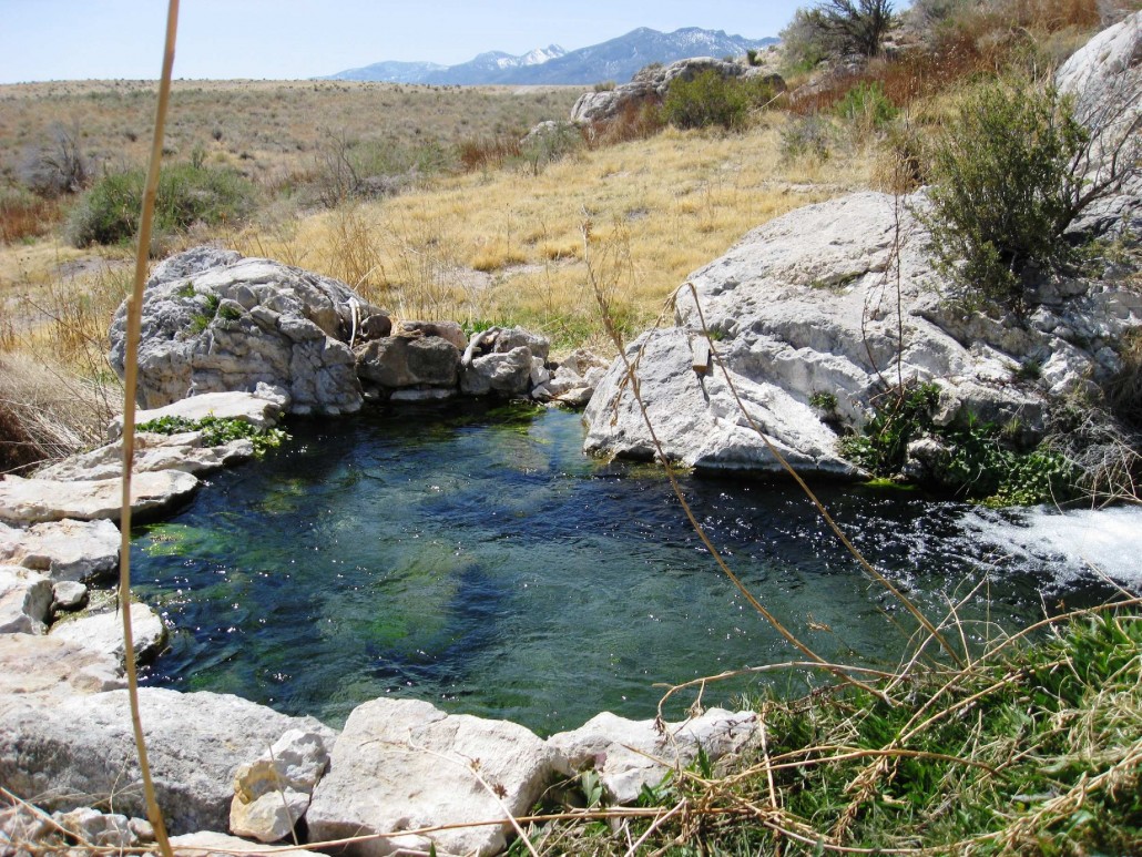 Crystal-clear natural hot spring nestled among rocks at Gandy Warm Springs, an inviting spot among Utah's best natural hot springs.
