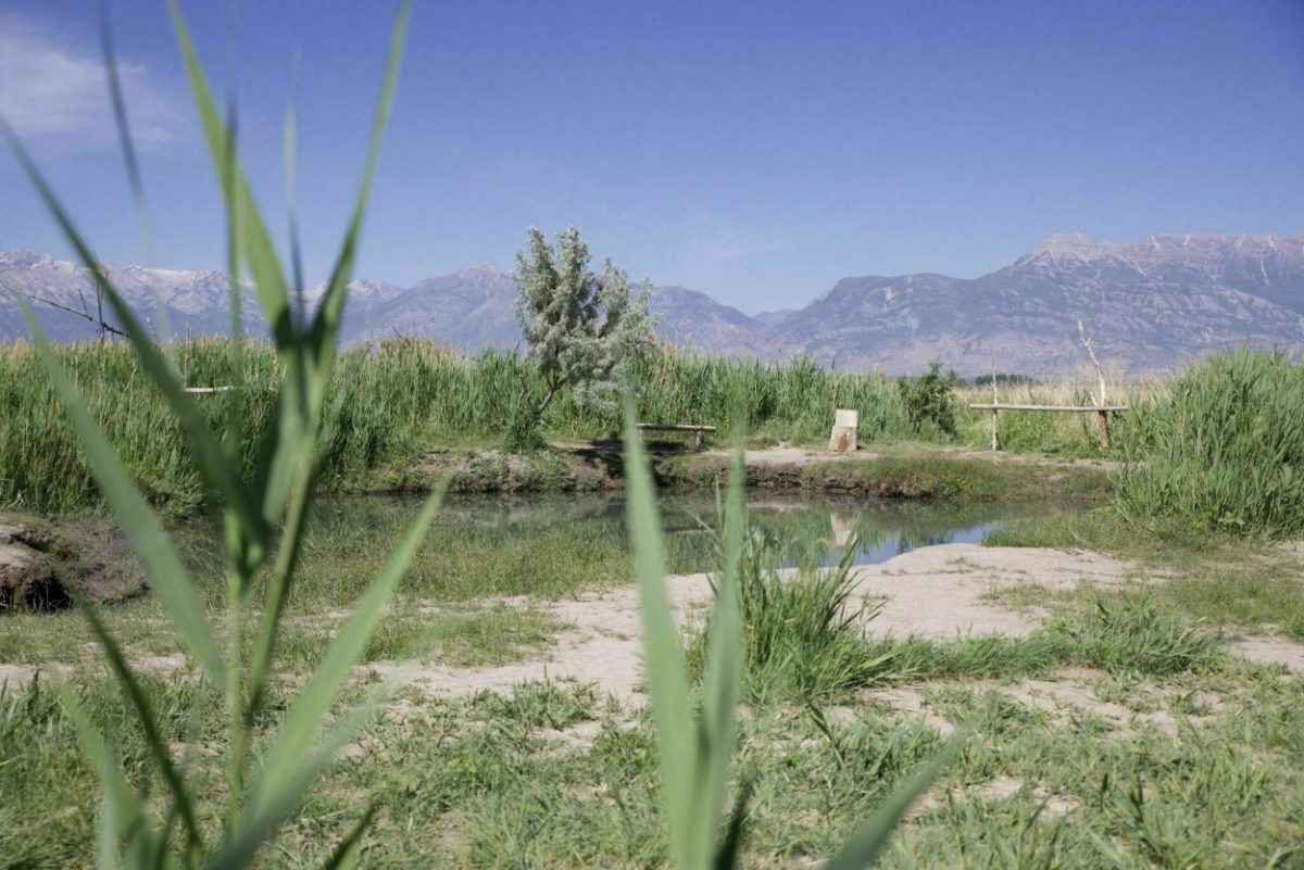 Serene natural hot spring with a backdrop of mountains and lush greenery, inviting relaxation in the Utah outdoors.
