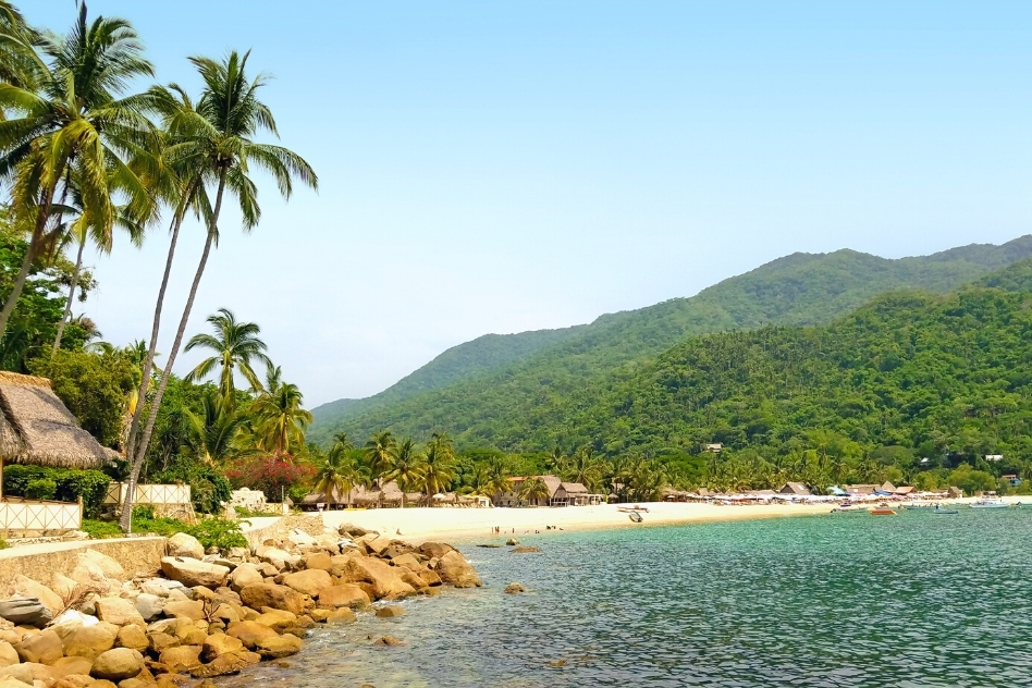 A serene beach fringed with palm trees against a backdrop of lush mountains, a peaceful retreat in Mexico's tropical paradise.
