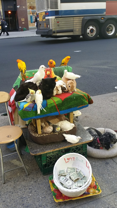 Manhattan street vendors