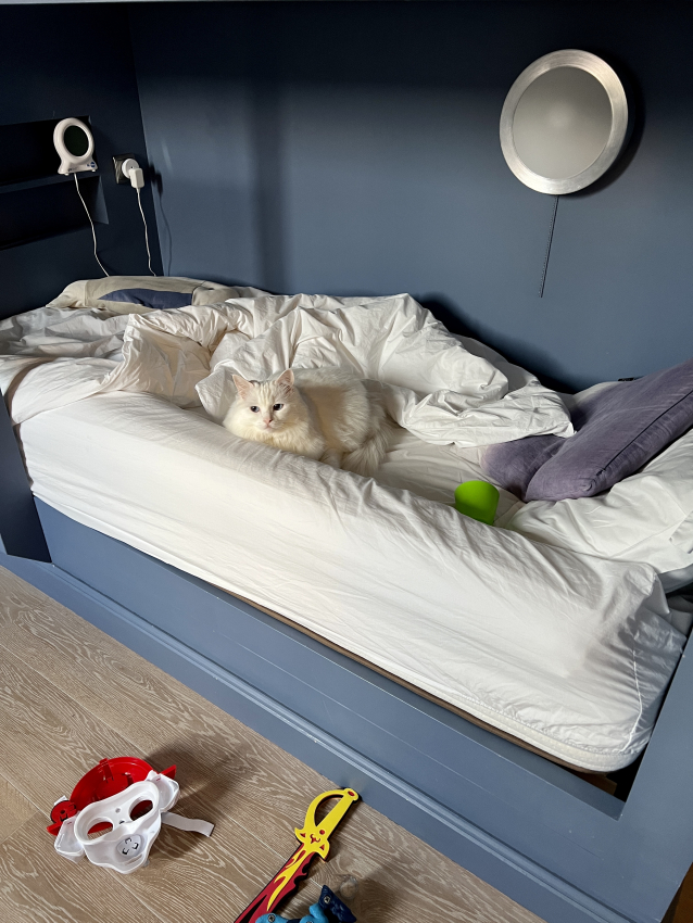 Inflatable bed sides for toddlers