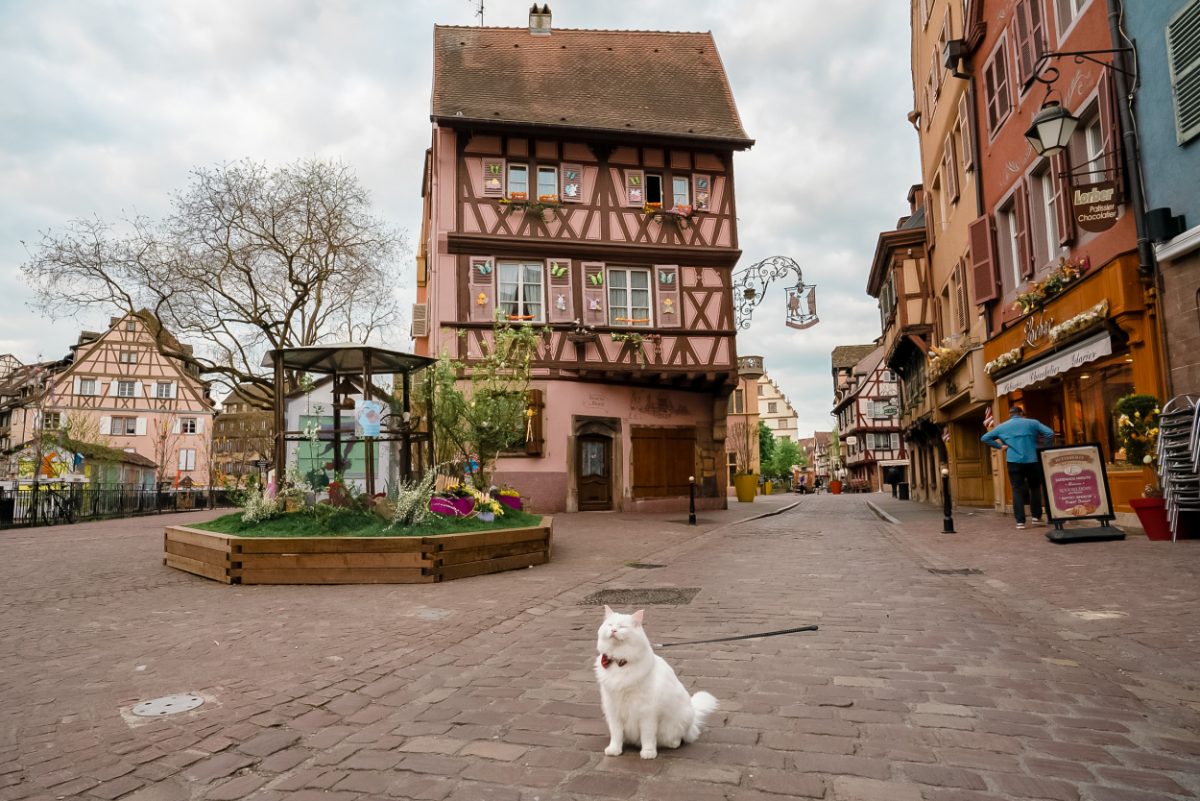 Colmar Easter market