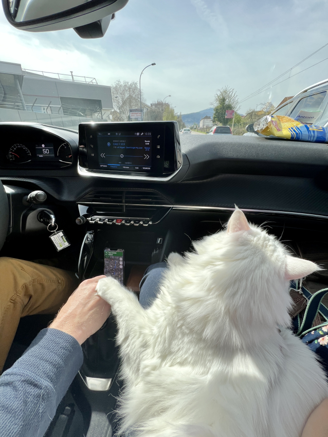 Renting a car in Lyon