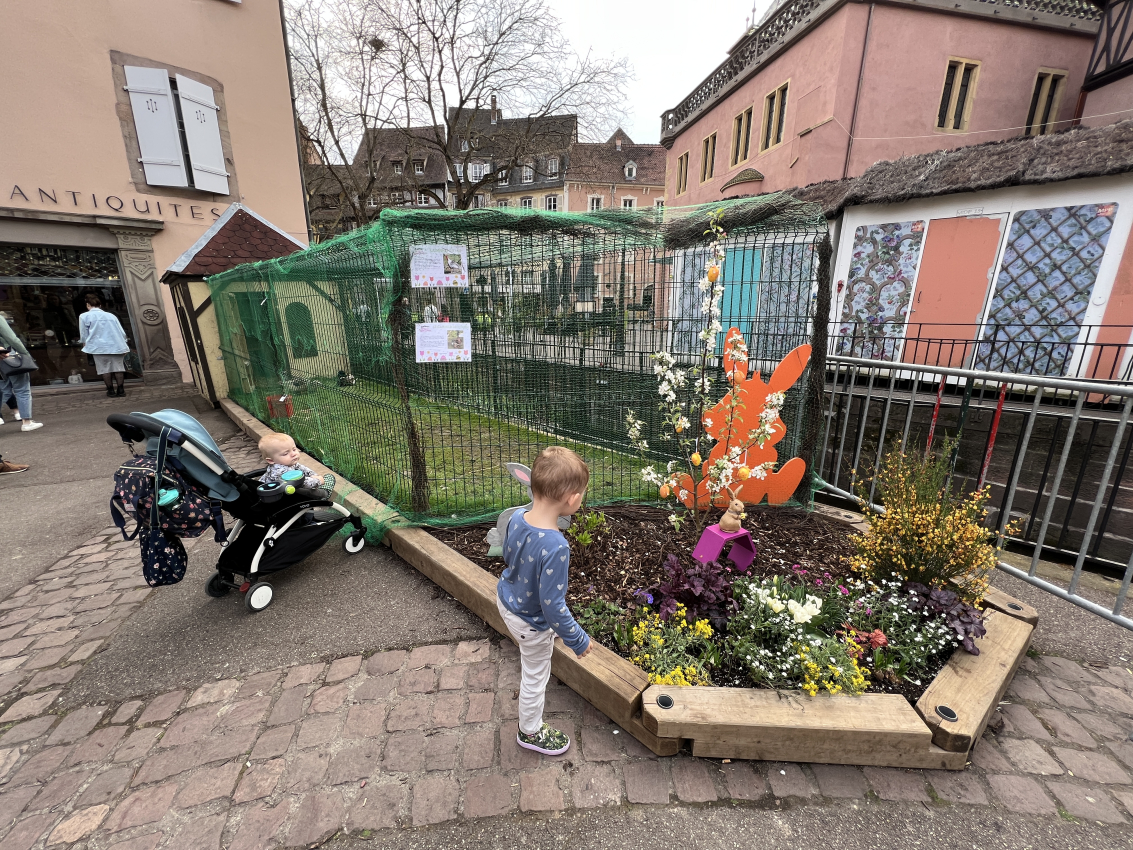 Visiting Colmar with a baby and toddler