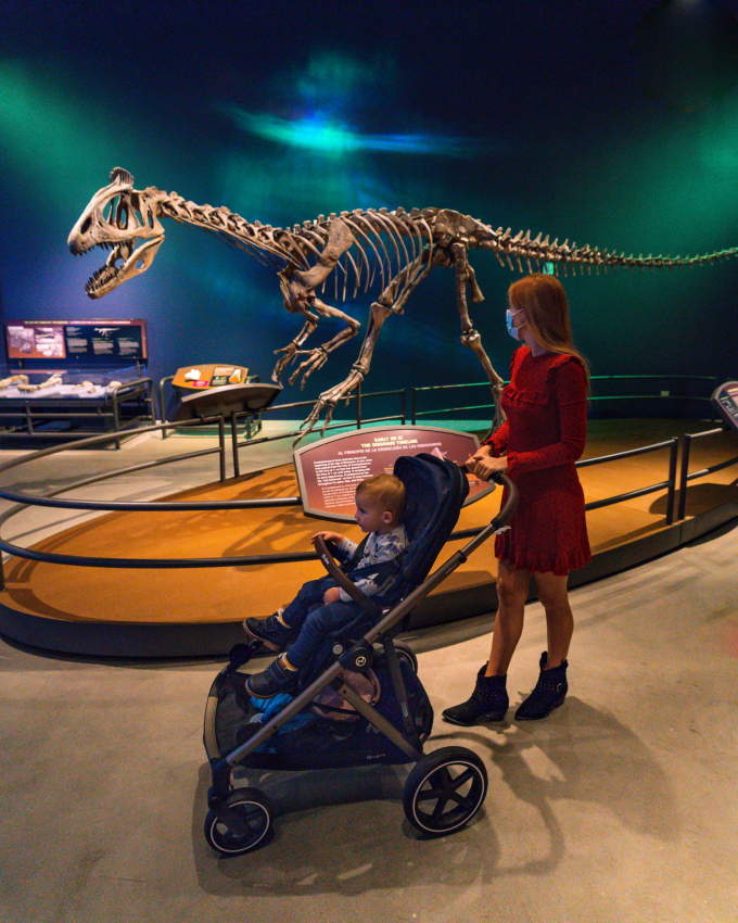 Natural History Museum Salt Lake City