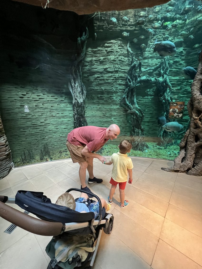 Best experiences for kids in Dubai
