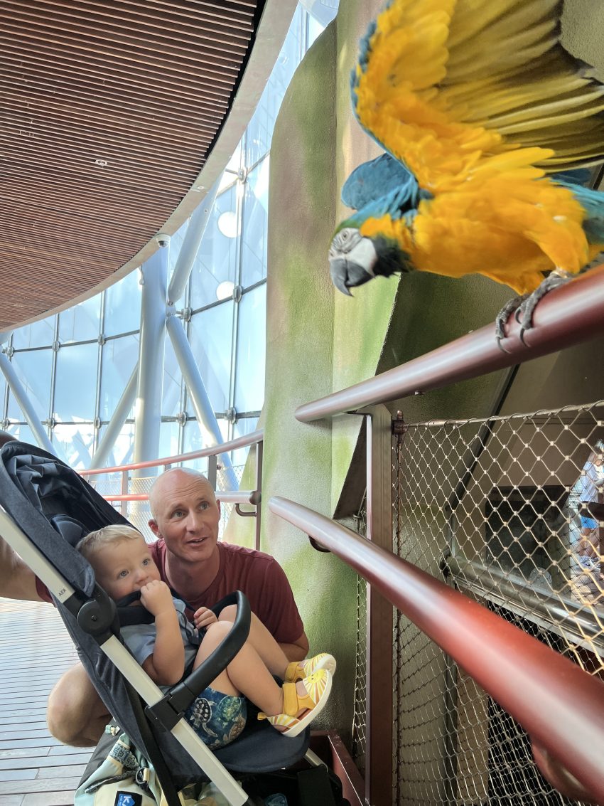 Dubai with children