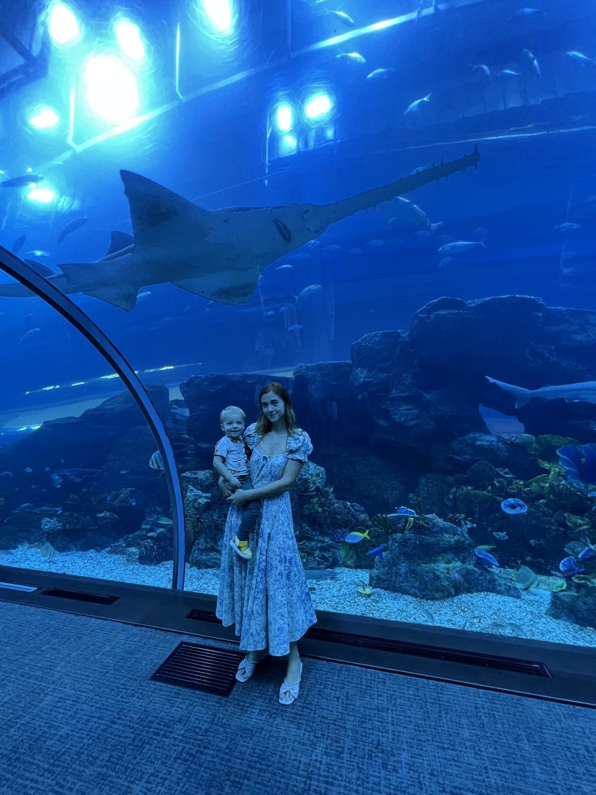 dubai aquarium with toddler