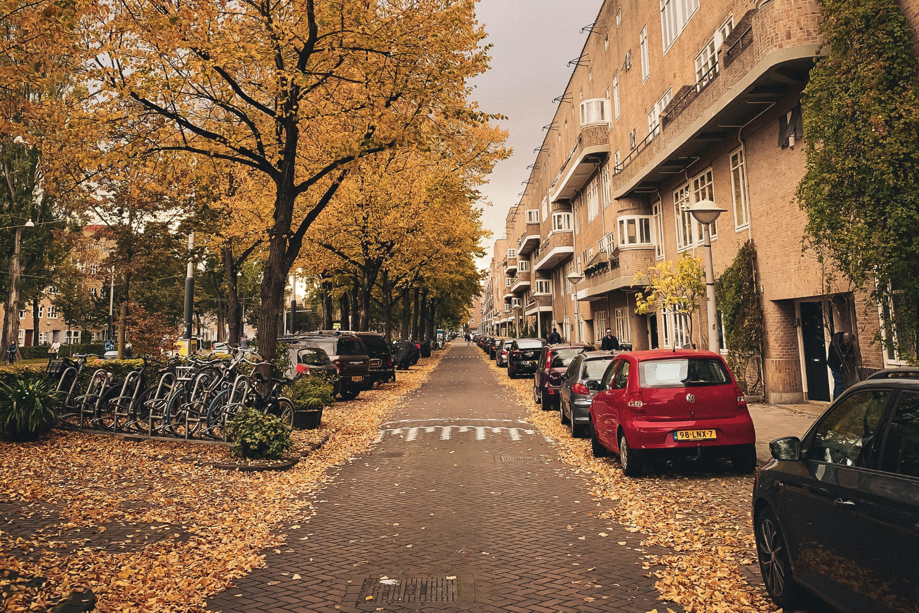 Renting a Car in the Netherlands: Is it Worth it For a Family Trip?