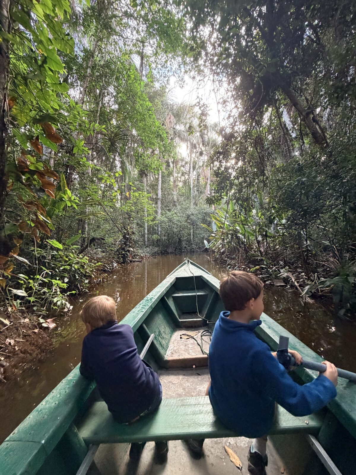 Amazon rainforest in Peru with kids