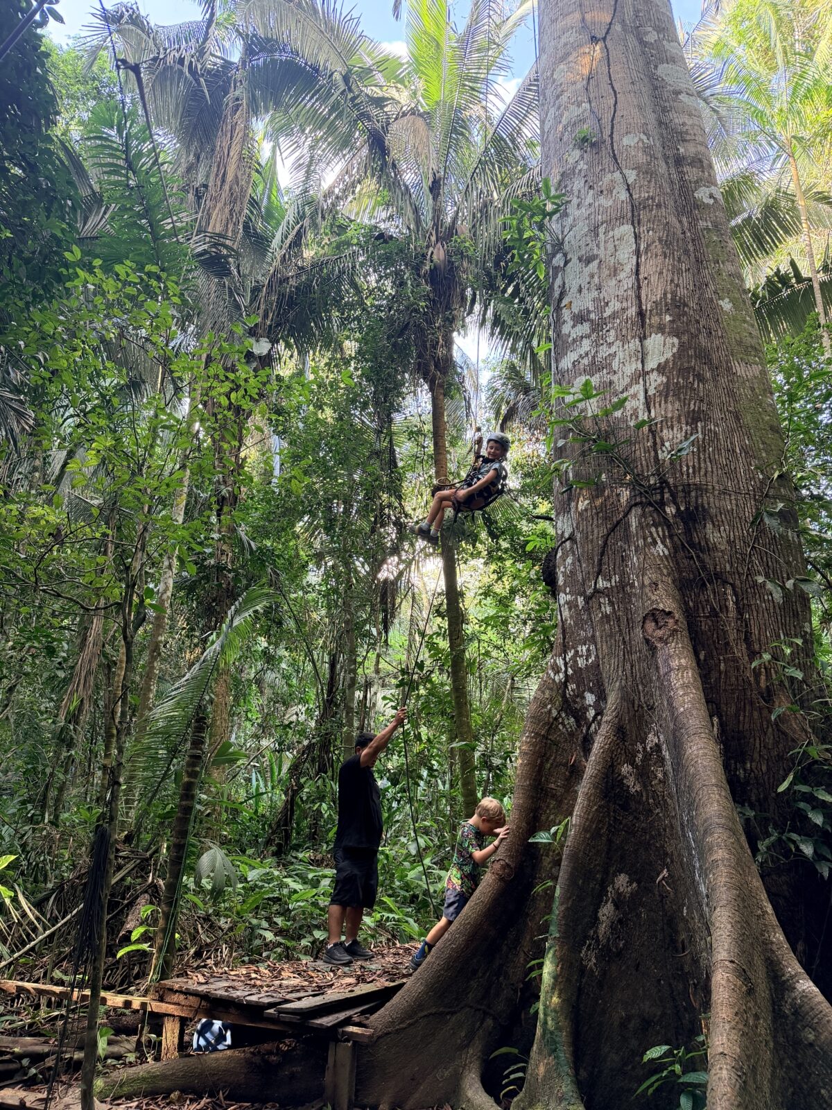 tree climbing in the Amazon